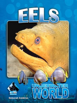 cover image of Eels